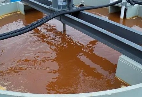 農(nóng)村生活污水治理怎樣精準施策？