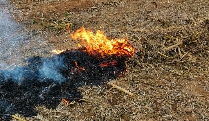 劉捷在秸稈焚燒治理工作協(xié)調會上強調 疏堵結合久久為功 打響秸稈焚燒治理攻堅戰(zhàn)